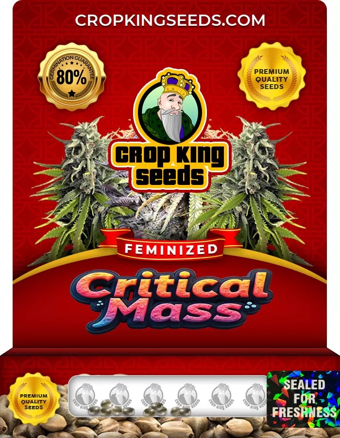 Critical Mass Feminized Marijuana Seeds