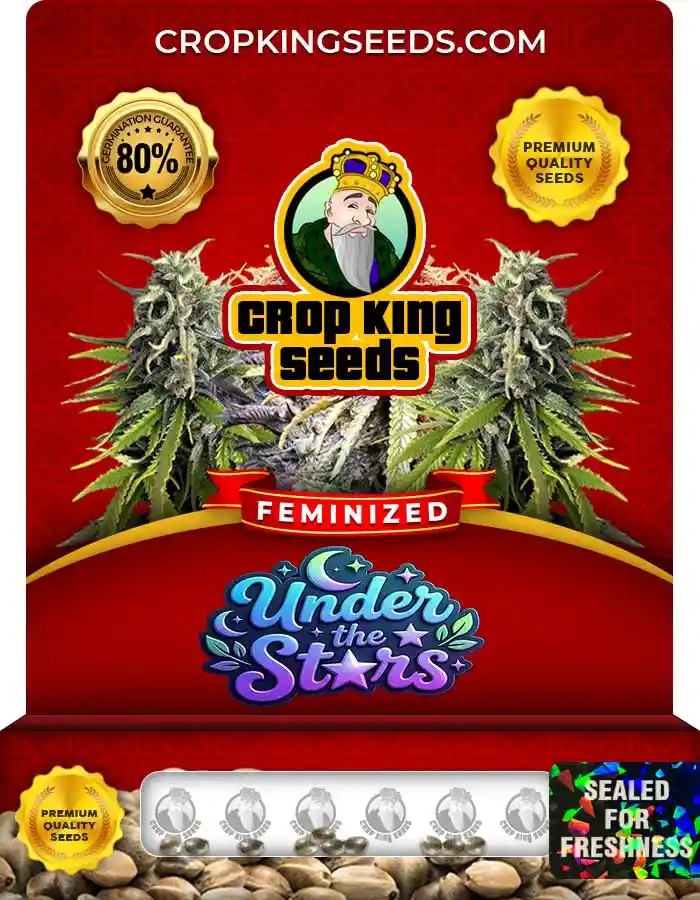 Under the Stars Strain Feminized Marijuana Seeds