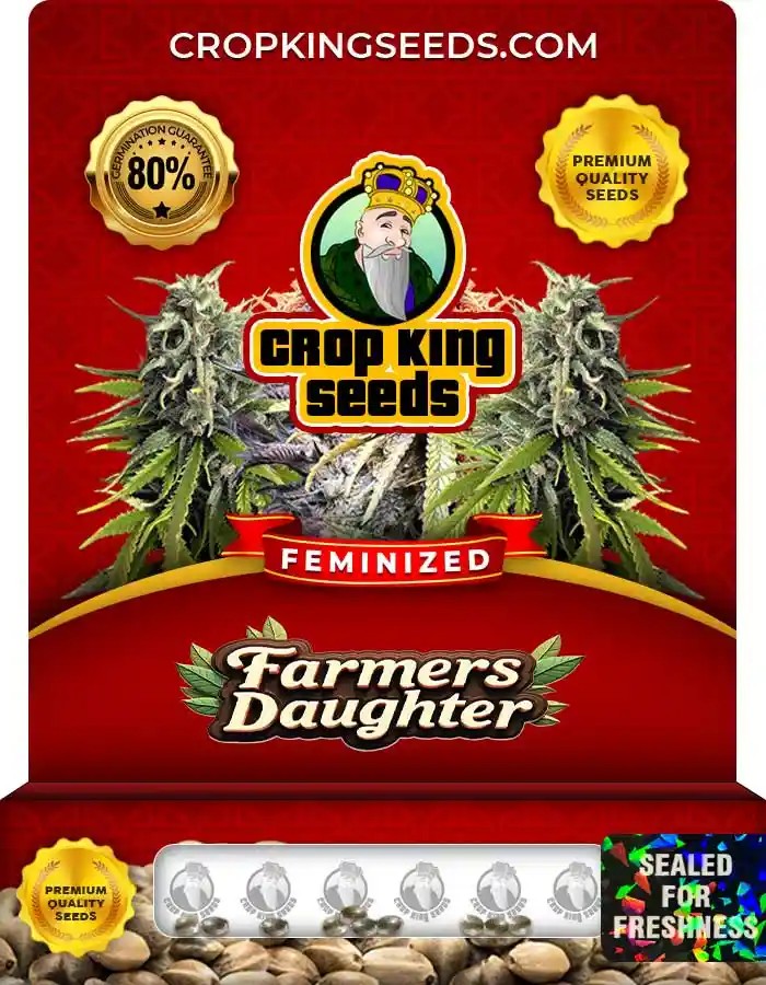 Farmers Daughter Strain Feminized Marijuana Seeds