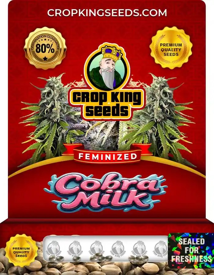 Cobra Milk Strain Feminized Seeds