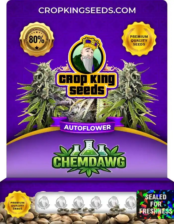 Chemdawg Autoflower Seeds