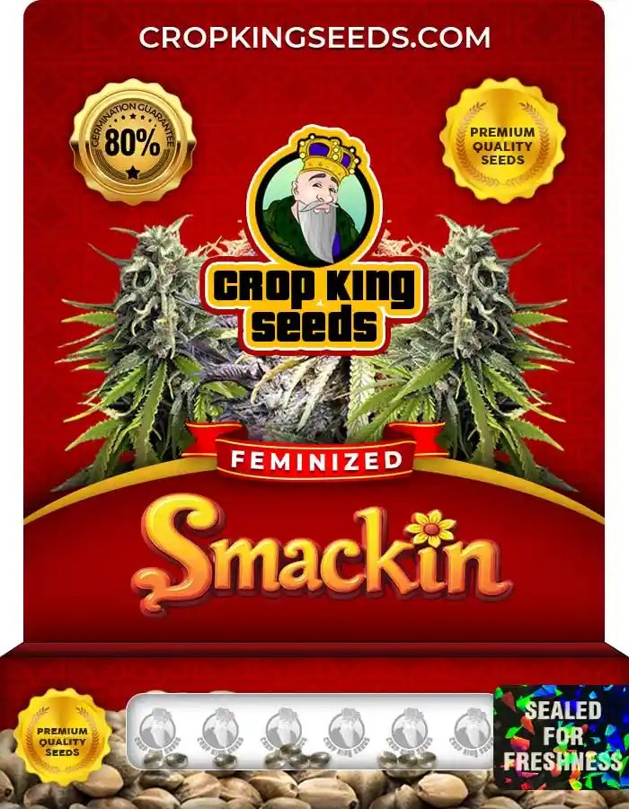 Smackin Feminized Seeds