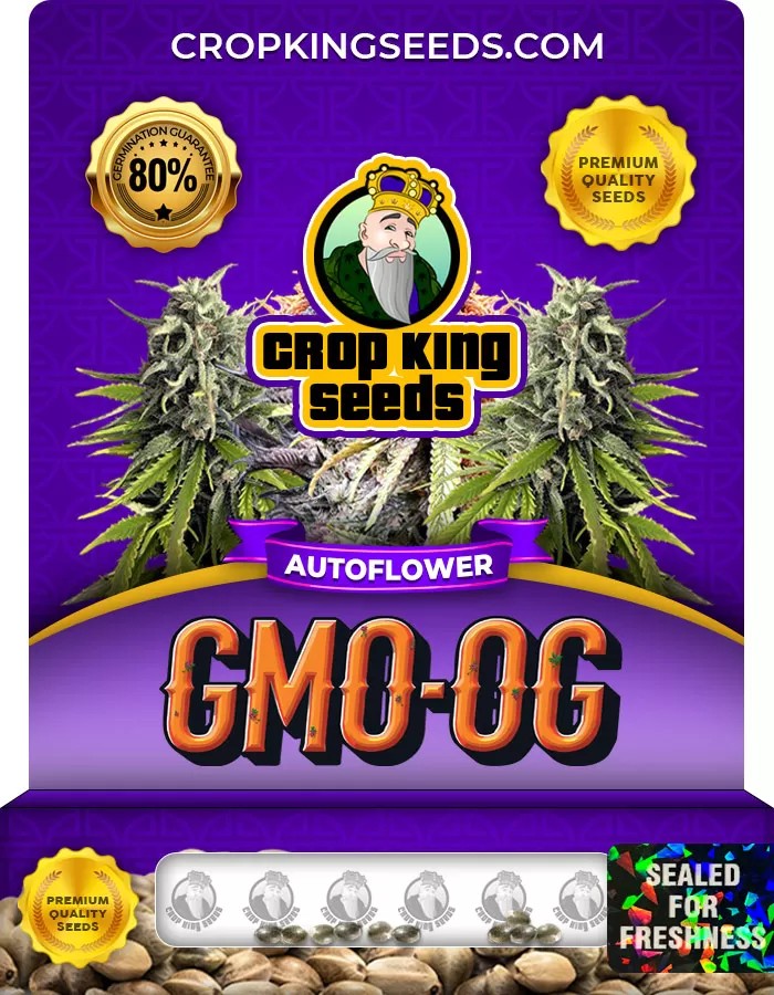 GMO OG Autoflowering Feminized Marijuana Seeds