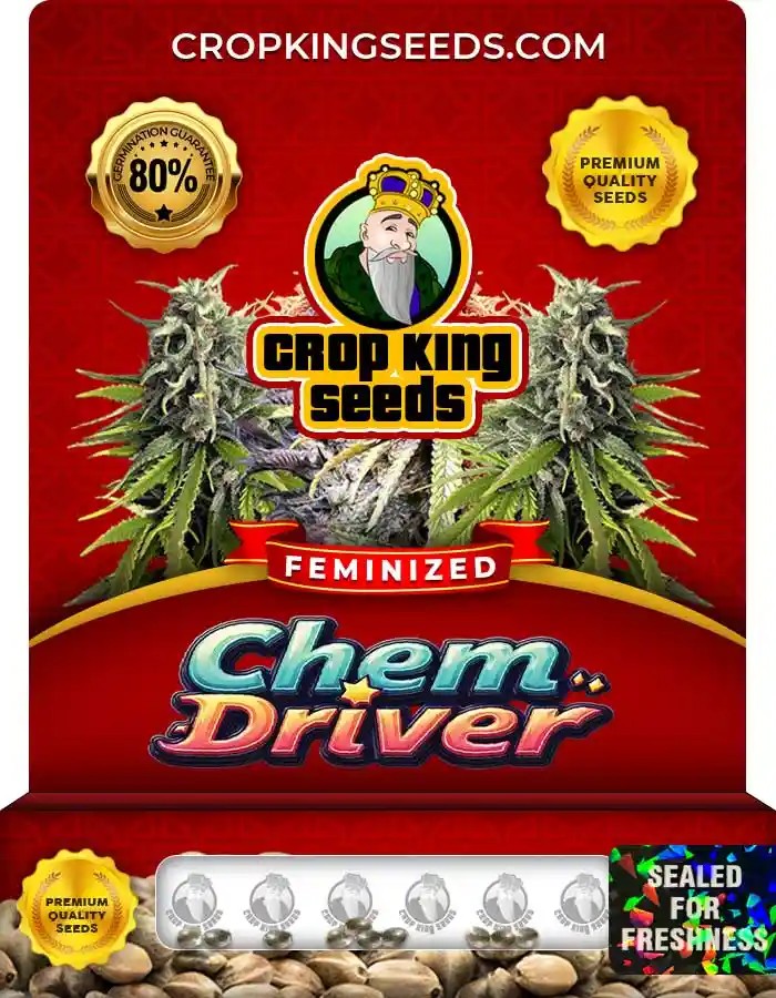 Chem Driver Strain Feminized Seeds