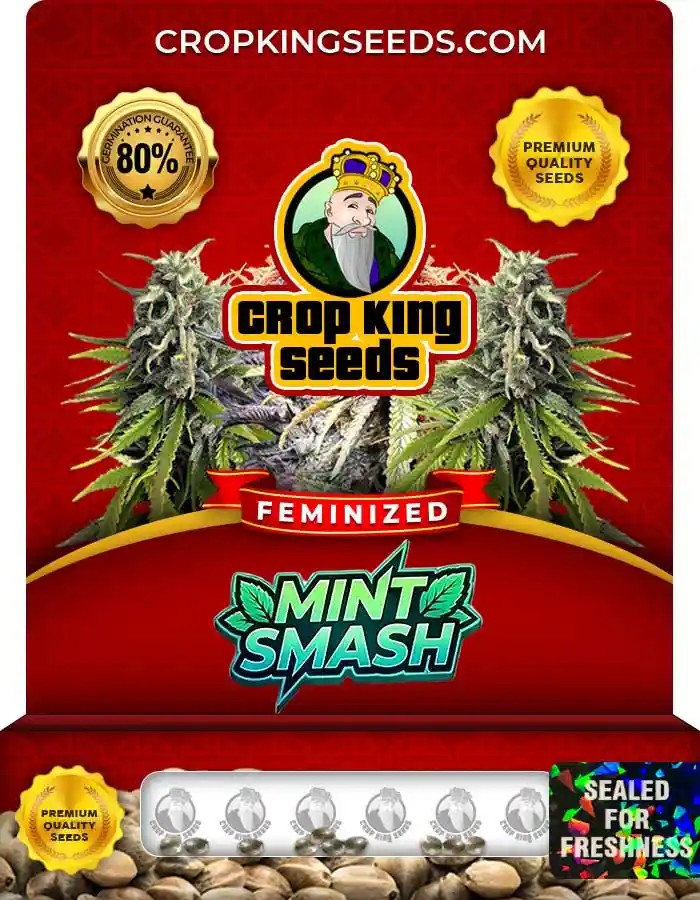 Mint Smash Strain Feminized Seeds