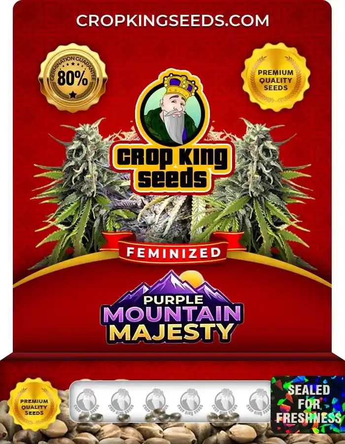 Purple Mountain Majesty Feminized Seeds