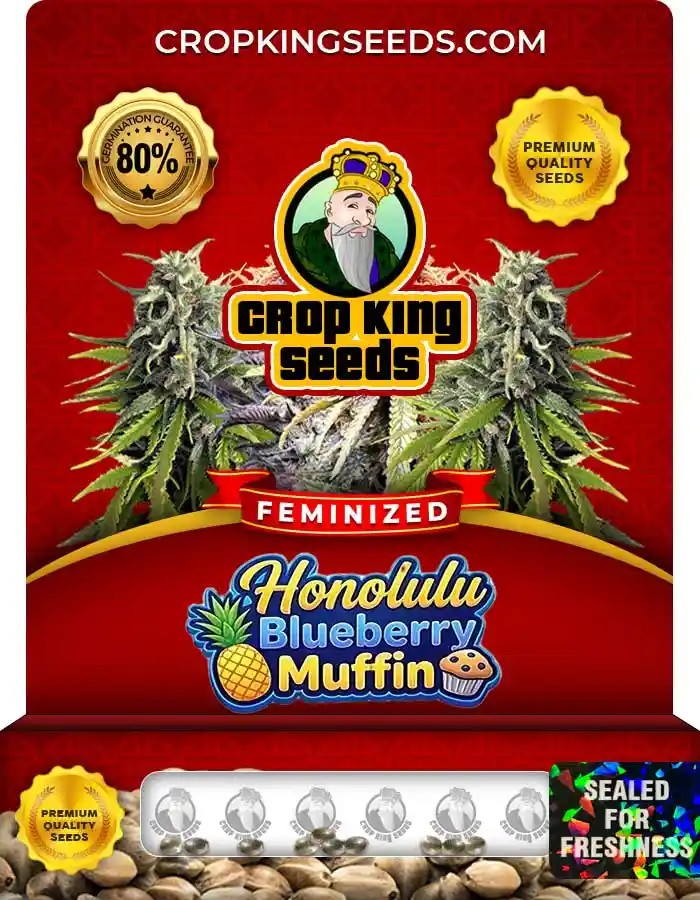 Honolulu Blueberry Muffin Strain Feminized Seeds