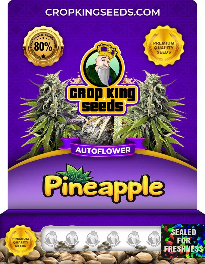 Pineapple Autoflower Marijuana Seeds