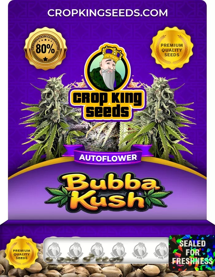 Bubba Kush Autoflowering Marijuana Seeds
