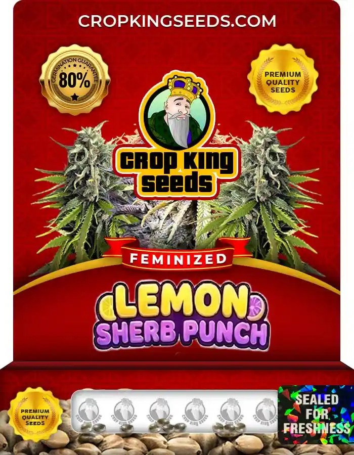 Lemon Sherb Punch Strain Feminized Seeds