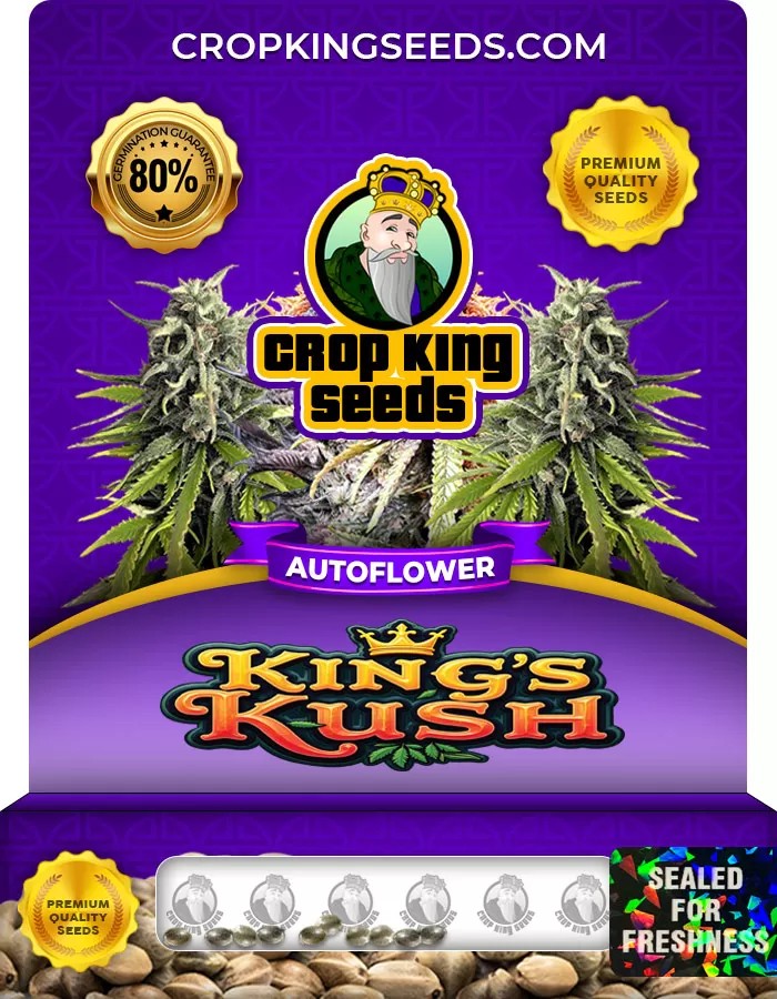 King’s Kush Autoflower Marijuana Seeds