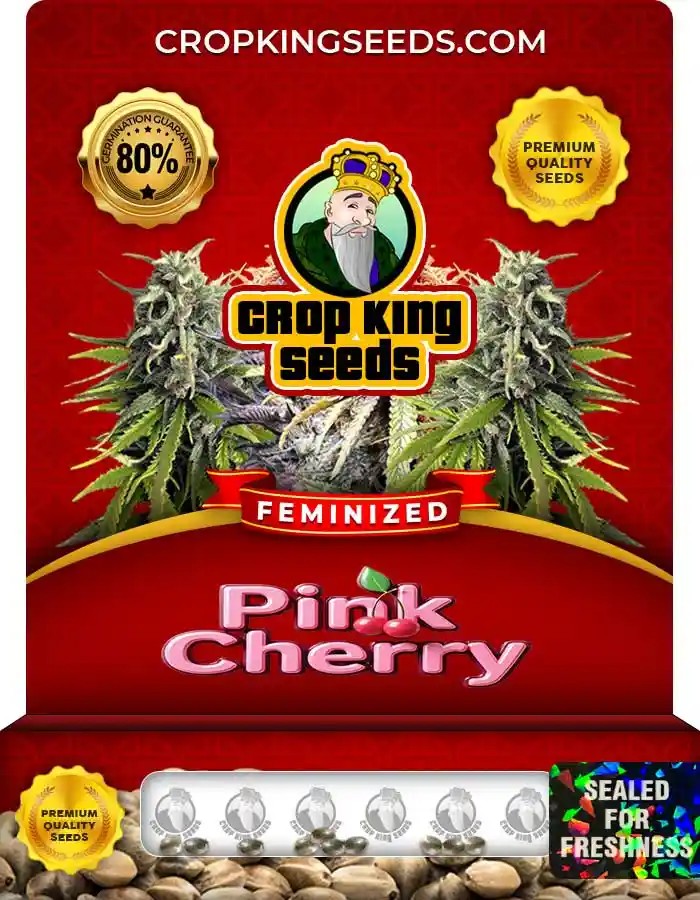 Pink Cherry Feminized Seeds
