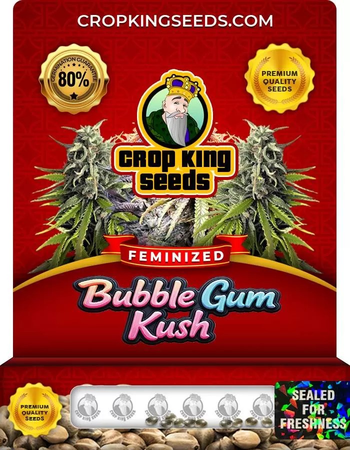 Bubble Gum Kush Feminized Marijuana Seeds