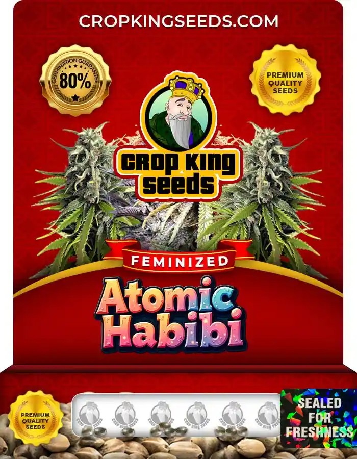 Atomic Habibi Strain Feminized Seeds