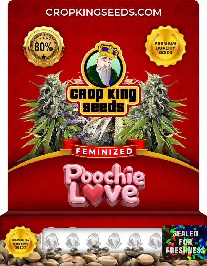 Poochie Love Feminized Seeds