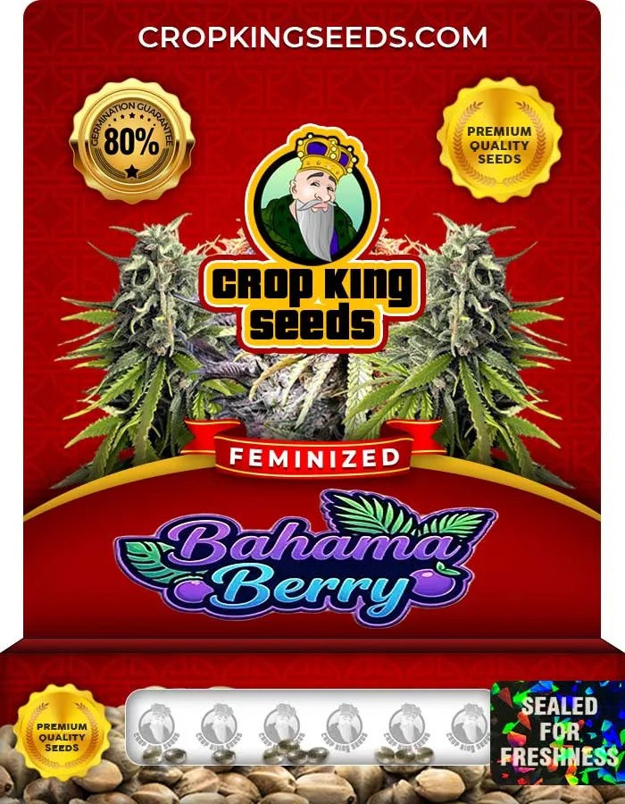 Bahama Berry Strain Feminized Seeds