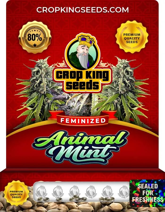 Animal Mint Strain Feminized Seeds
