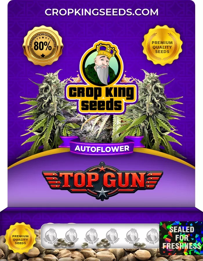 Top Gun Autoflowering Feminized Marijuana Seeds