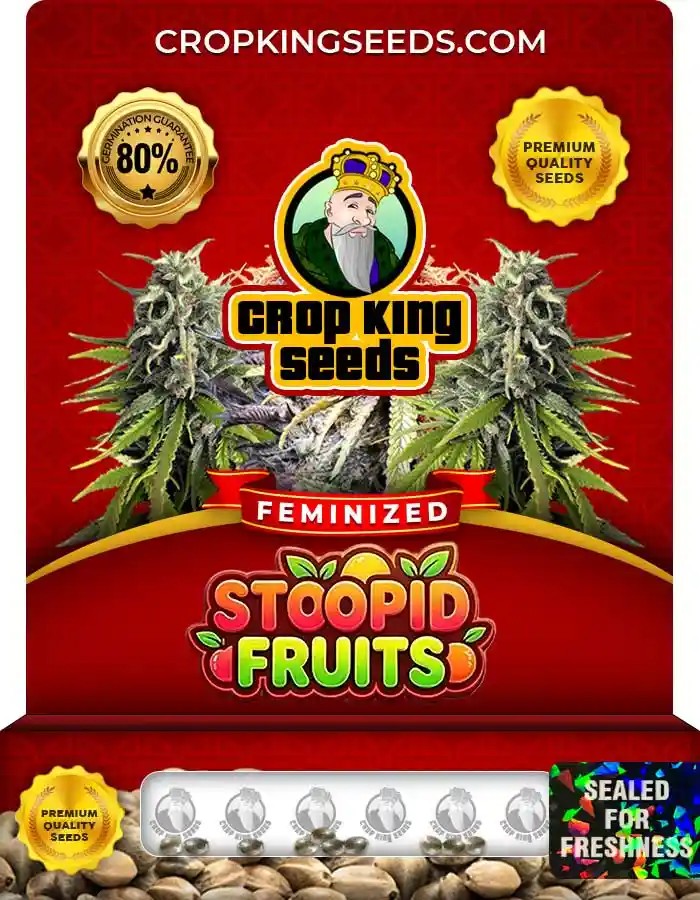 Stoopid Fruits Strain Feminized Seeds