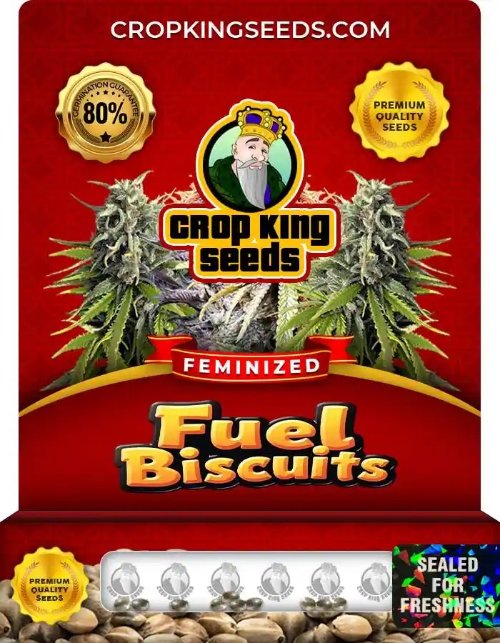 Fuel Biscuits Strain Feminized Seeds