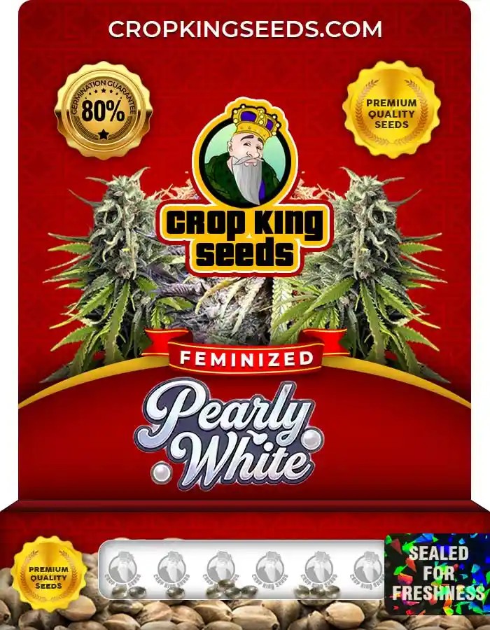 Pearly White Feminized Seeds