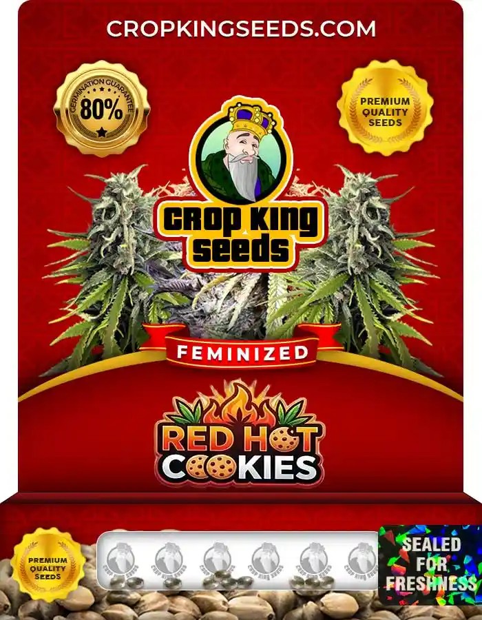 Red Hot Cookies Strain Feminized Marijuana Seeds