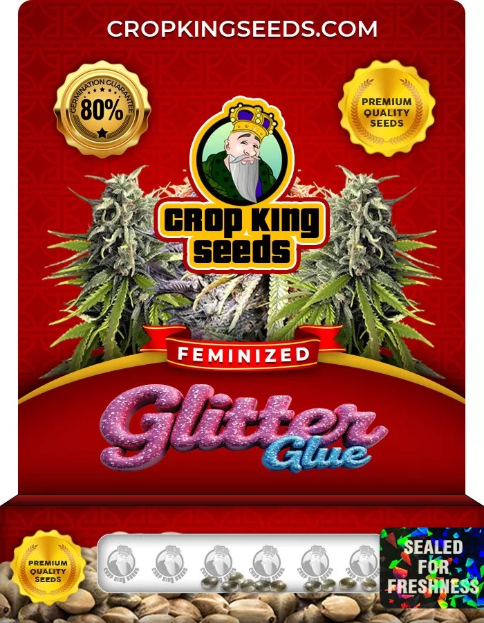 Glitter Glue Feminized Marijuana Seeds