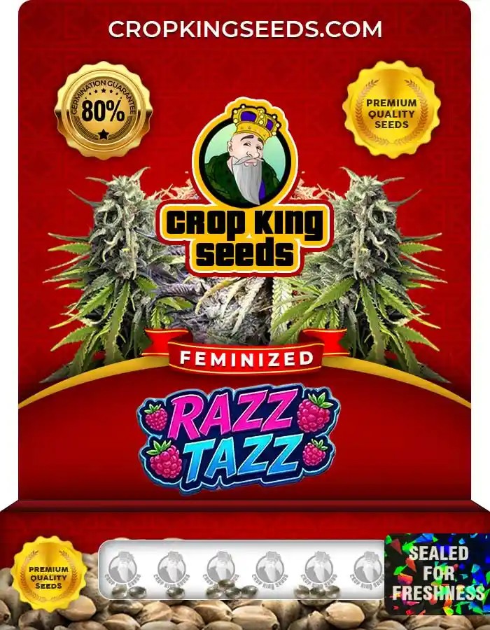 Razz Tazz Feminized Seeds