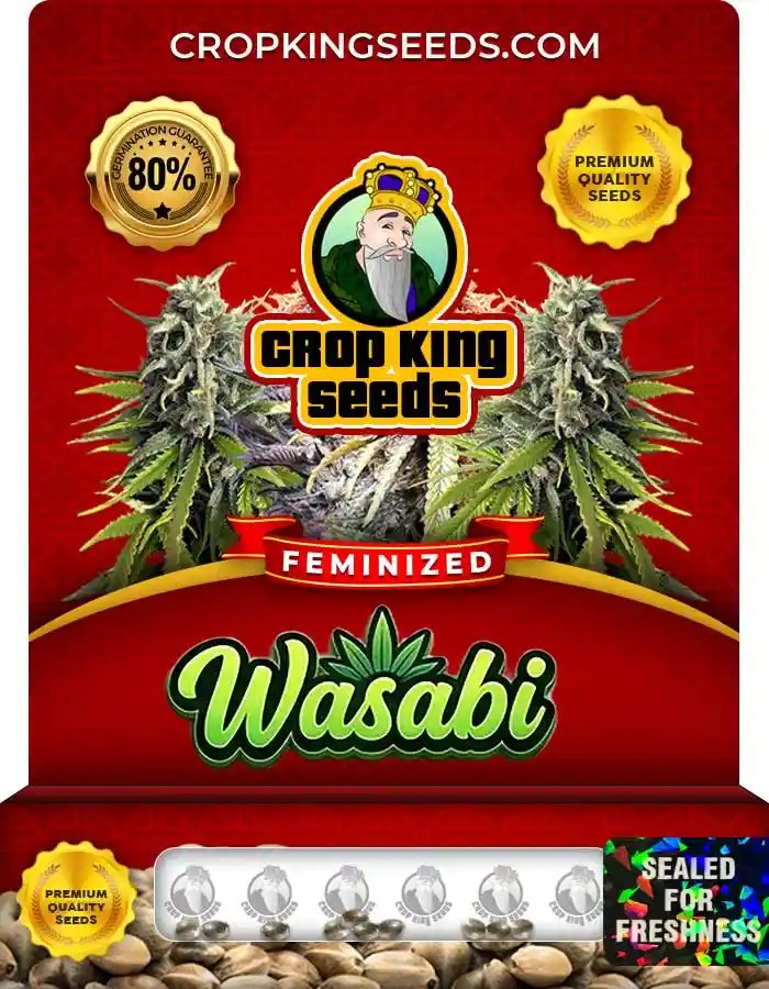 Wasabi Strain Feminized Seeds