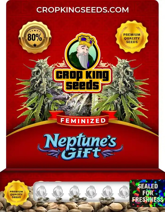 Neptune’s Gift Feminized Seeds