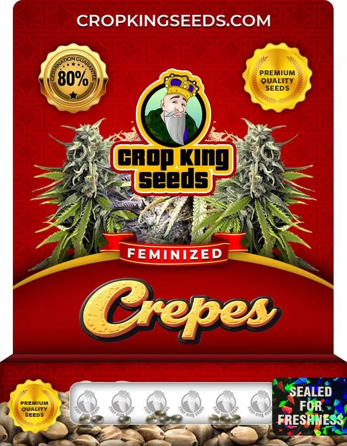 Crepes Feminized Seeds