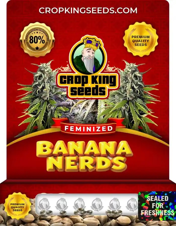Banana Nerds Strain Feminized Marijuana Seeds