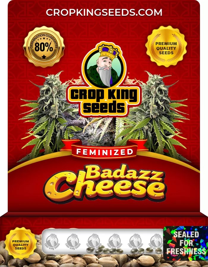 Badazz Cheese Feminized Marijuana Seeds
