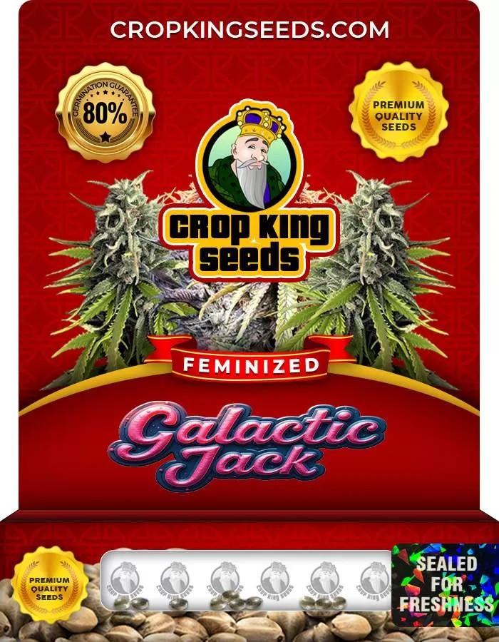 Galactic Jack Feminized Seeds