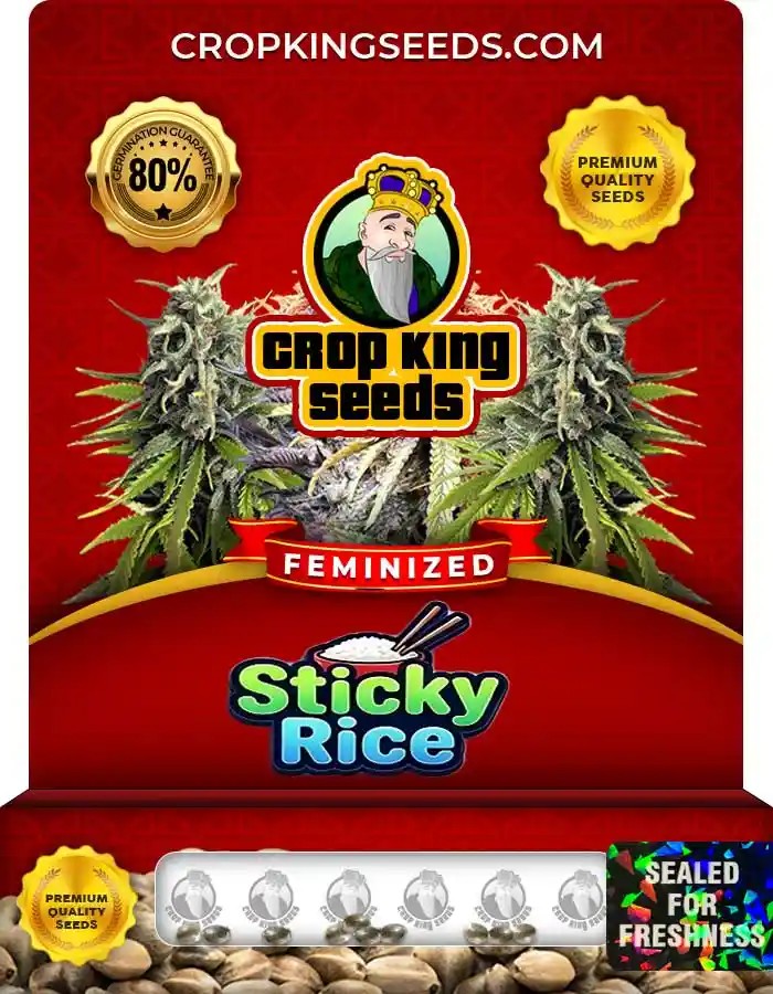 Sticky Rice Feminized Seeds