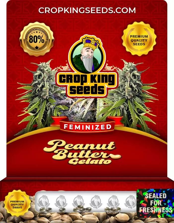 Peanut Butter Gelato Strain Feminized Marijuana Seeds