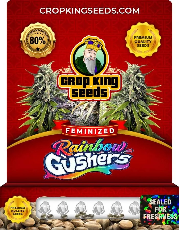 Rainbow Gushers Strain Feminized Seeds