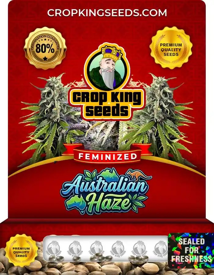 Australian Haze Feminized Seeds