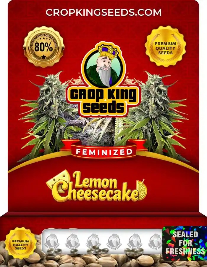 Lemon Cheesecake Strain Feminized Marijuana Seeds