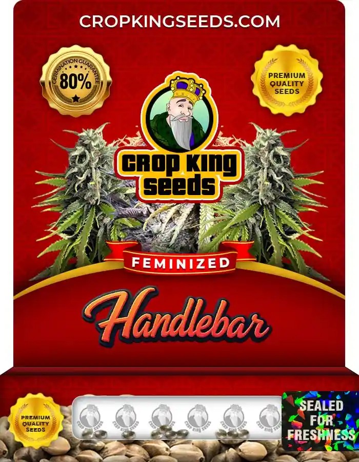 Handlebar Feminized Seeds