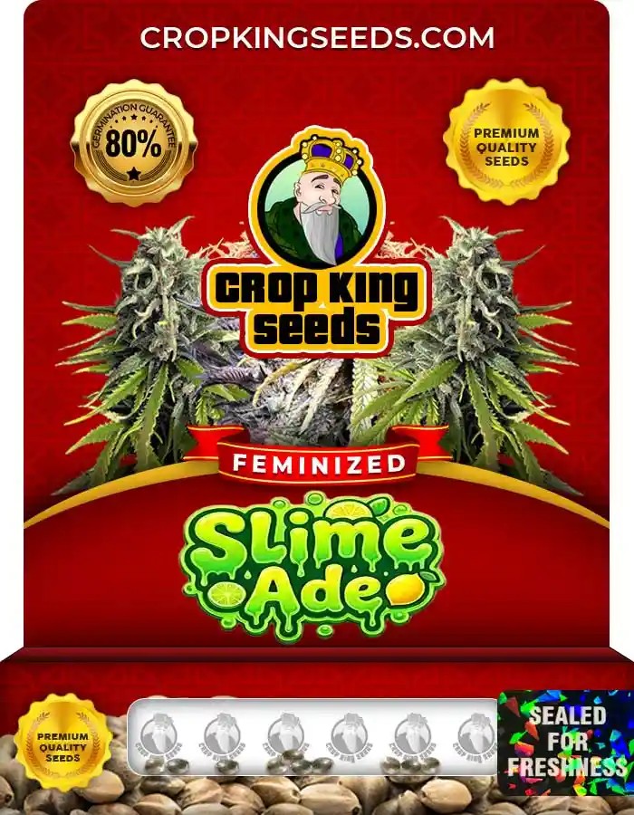 Slime Ade Strain Feminized Seeds