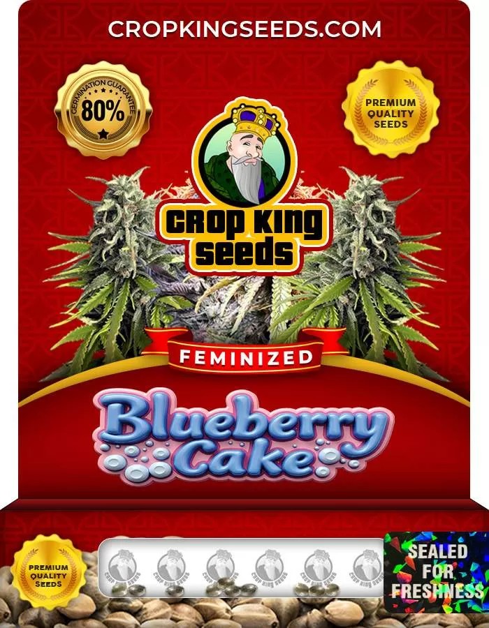 Blueberry Cake Feminized Seeds