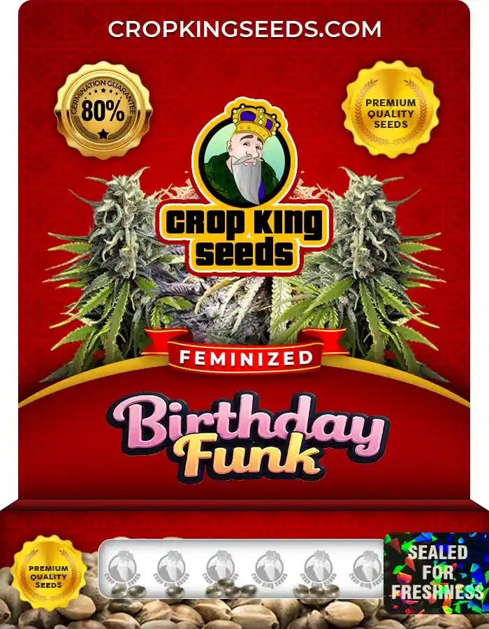 Birthday Funk Feminized Seeds