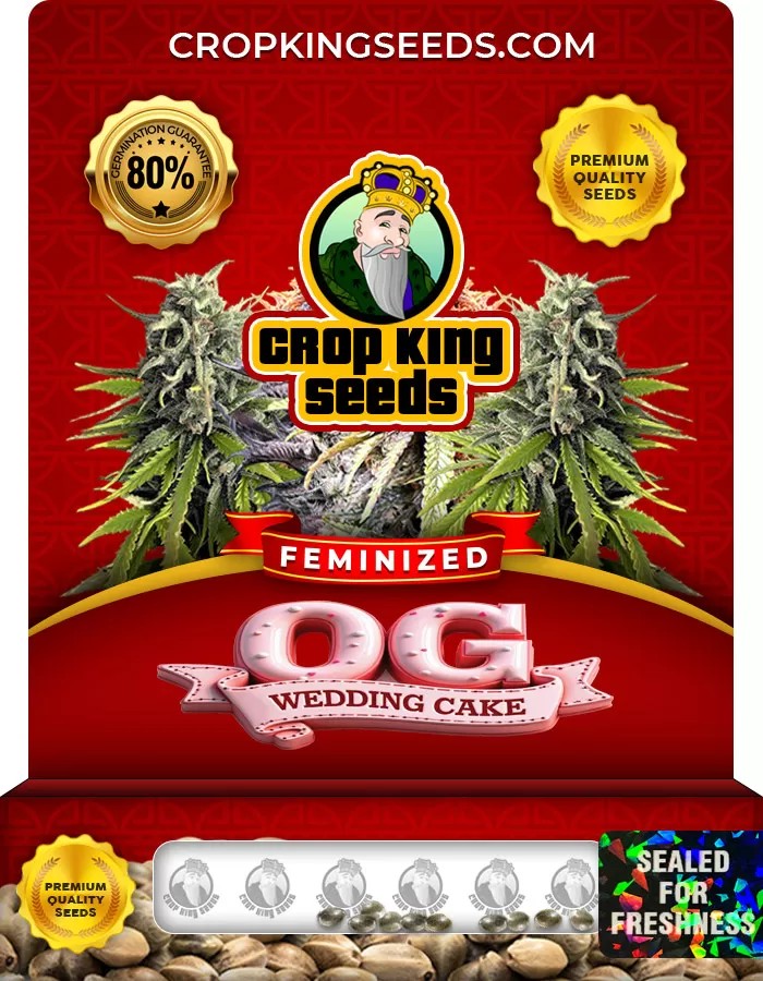 OG Wedding Cake Feminized Marijuana Seeds