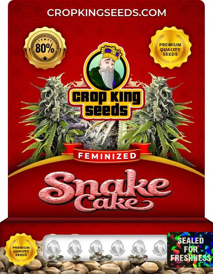 Snake Cake Feminized Seeds