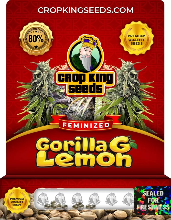 Gorilla G Lemon Feminized Marijuana Seeds