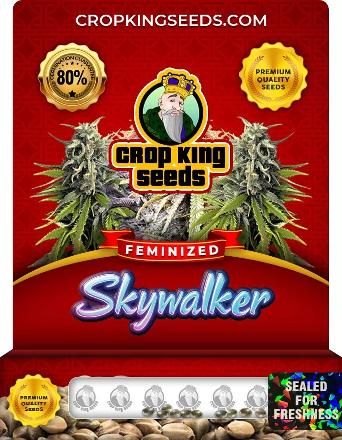 Skywalker Feminized Marijuana Seeds