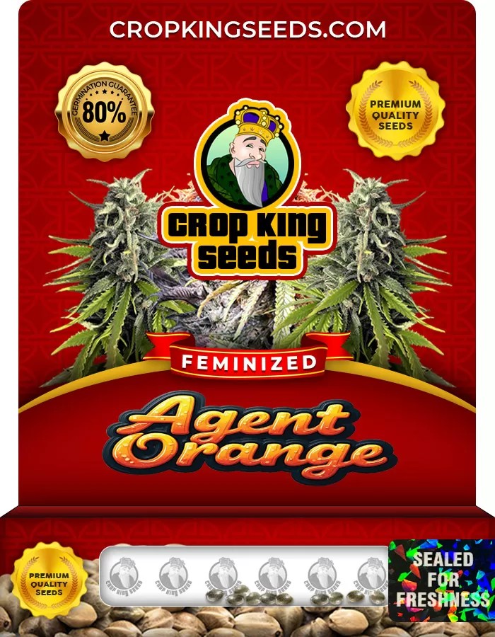 Agent Orange Feminized Marijuana Seeds