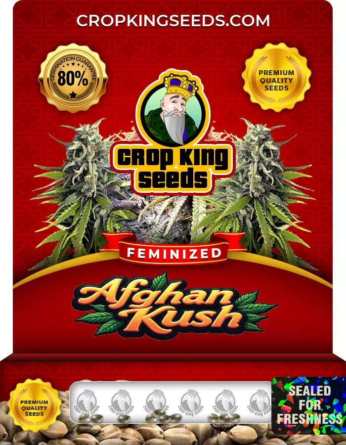 Afghan Kush Feminized Marijuana Seeds