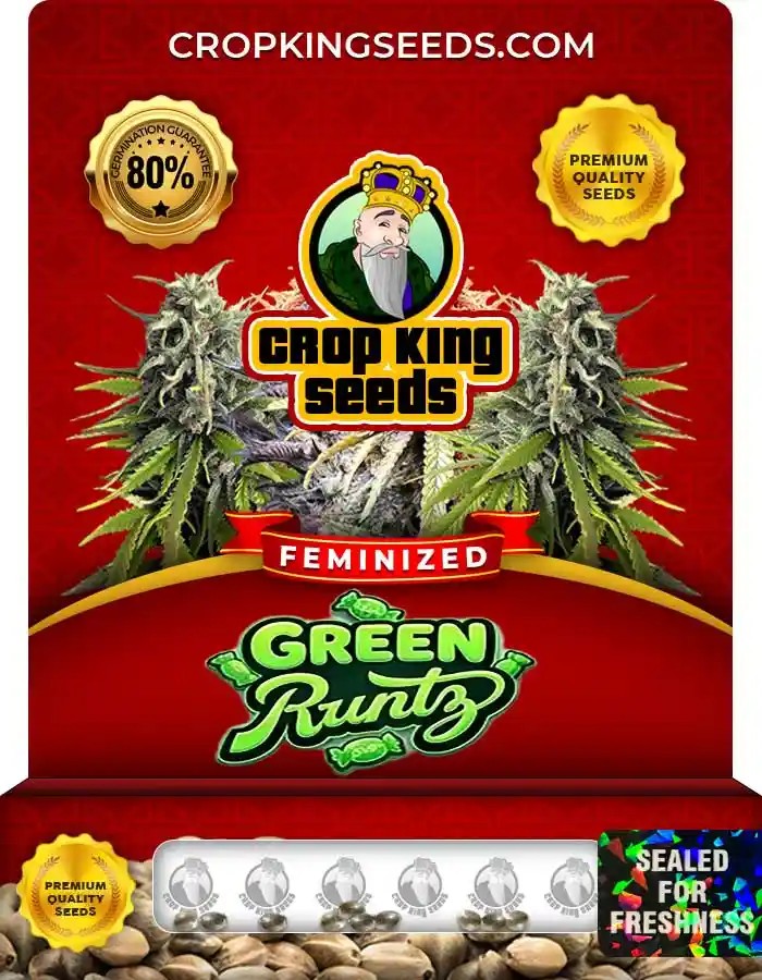 Green Runtz Feminized Marijuana Seeds
